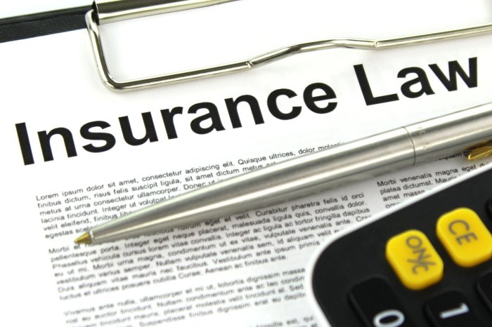 Insurance Claim Assistance